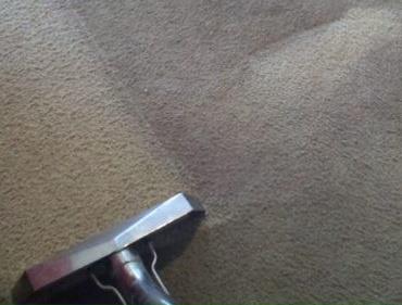 Cleaning a Dirty Carpet with A Step Above