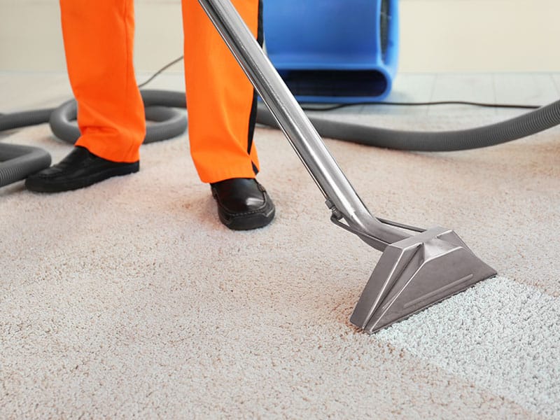Steam cleaning treatment shown on carpet