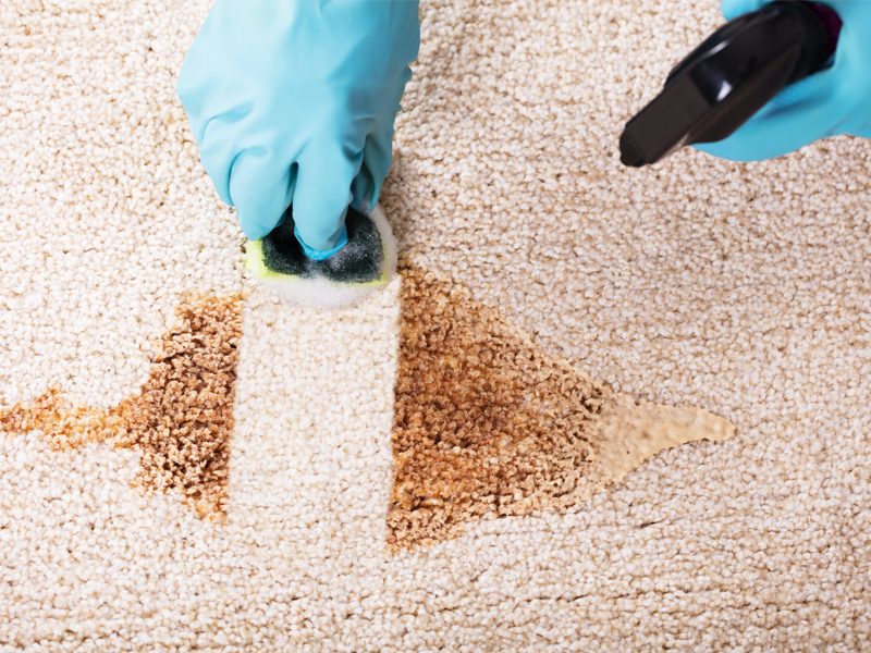 Onsite rug cleaning and stain removal