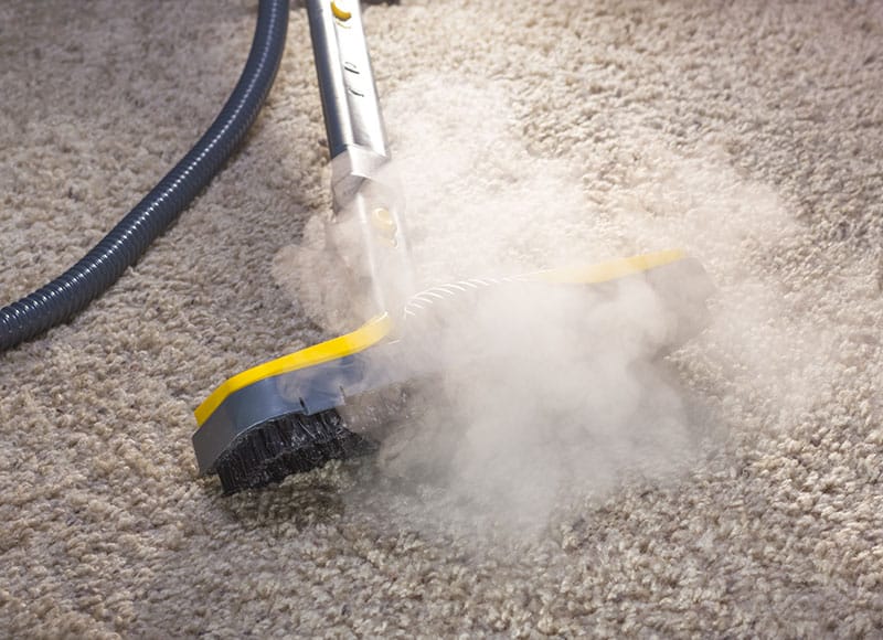 Before-You-Decide-To-Replace-Your-Carpets-Try-This (1)